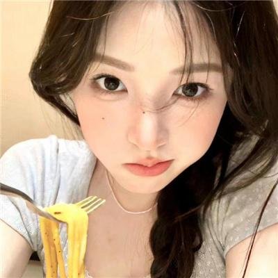 狗的生涯