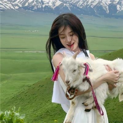 清醒梦之马桶睡美人
